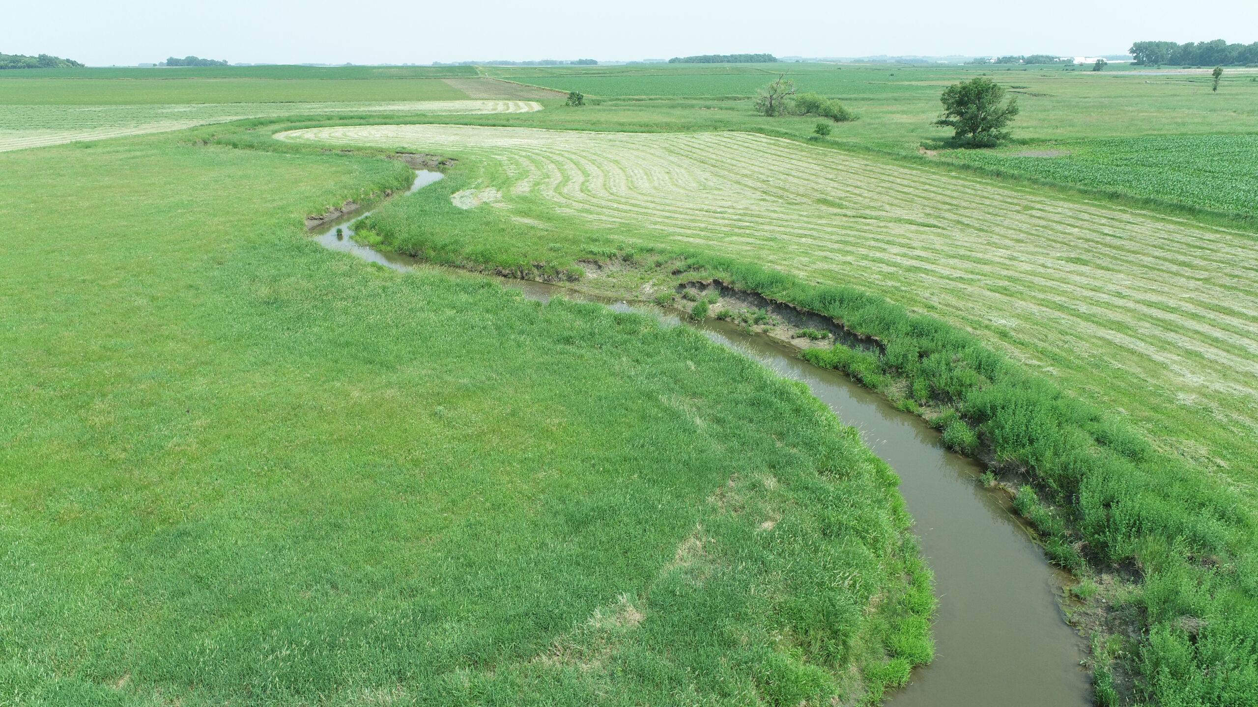 Tillable Land & Pastureland Auction Murray County, MN