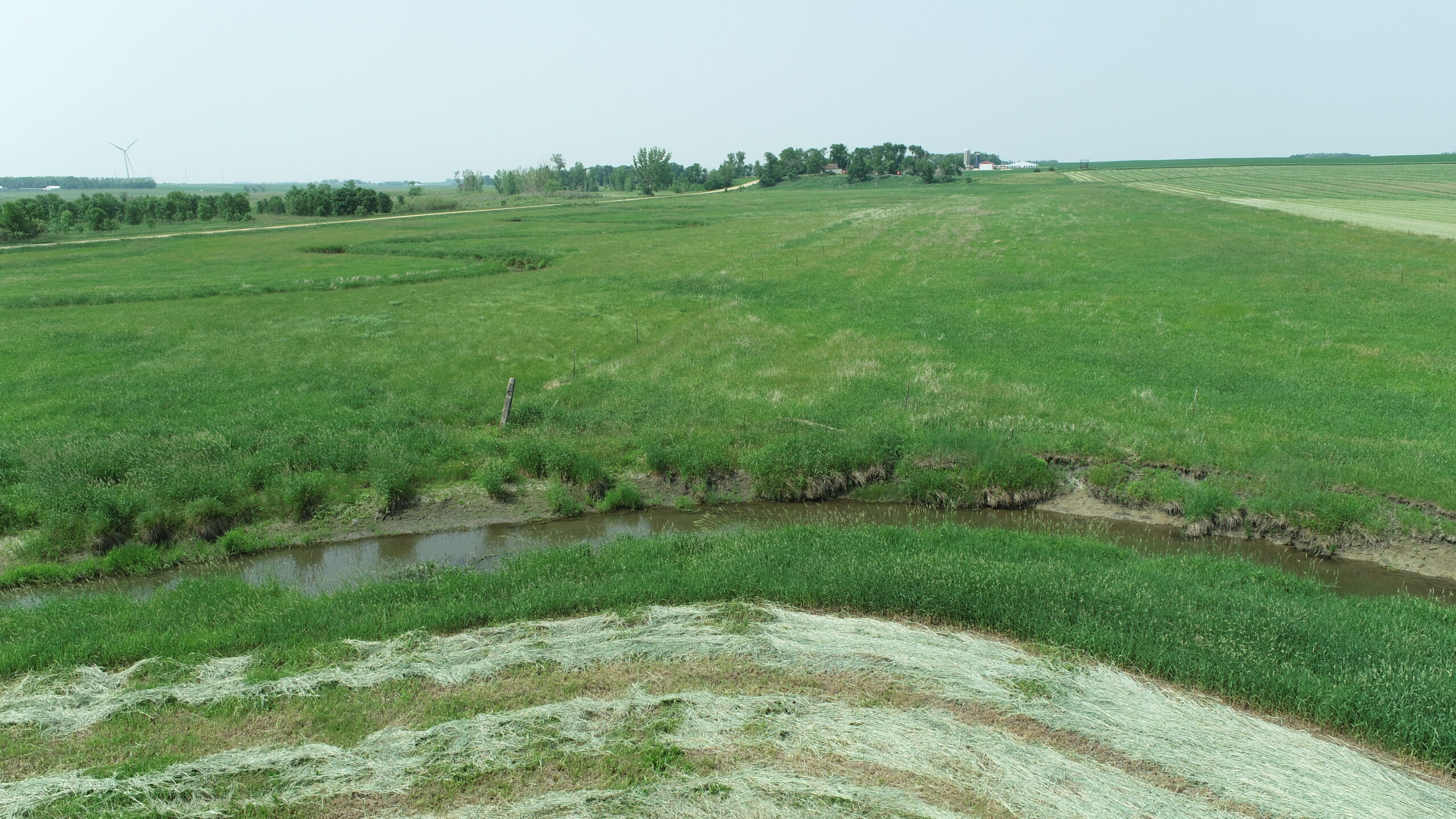 Tillable Land & Pastureland Auction Murray County, MN