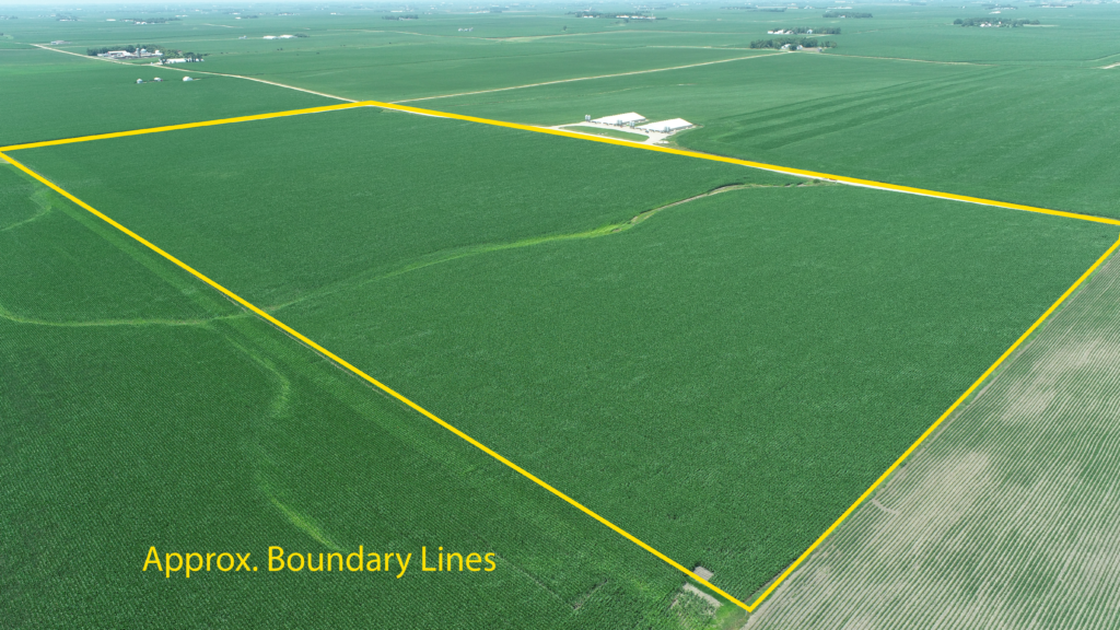 Elgin TWP Lyon County, IA Land Auction